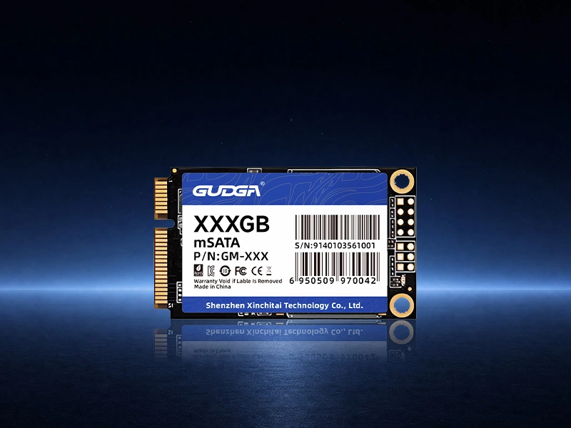 mSATA SSD